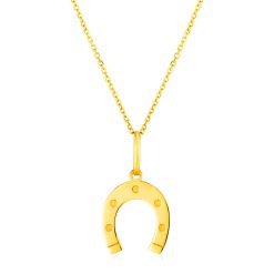 14K Yellow Gold Necklace with Horseshoe