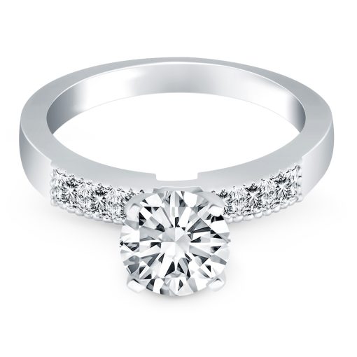 14k White Gold Engagement Ring Mounting with Princess Cut Diamonds - Image 2