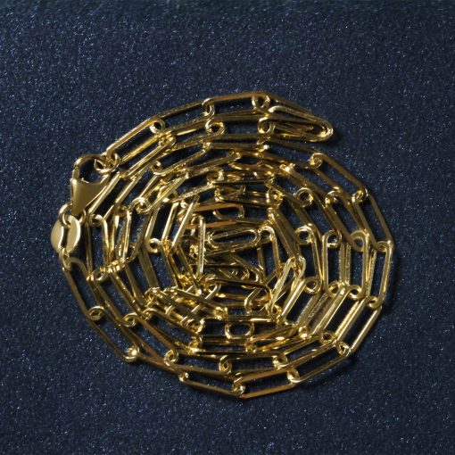 10K Yellow Gold Paperclip Chain (2.50 mm) - Image 6