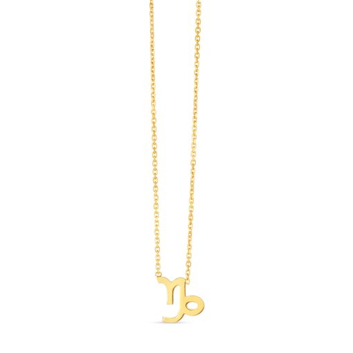 14K Yellow Gold Capricorn Necklace
